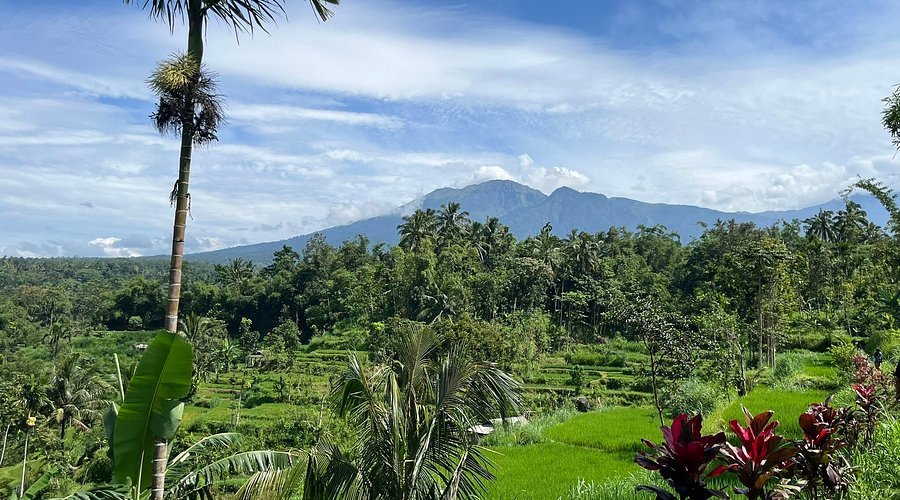 Excursion Tetebatu Lombok