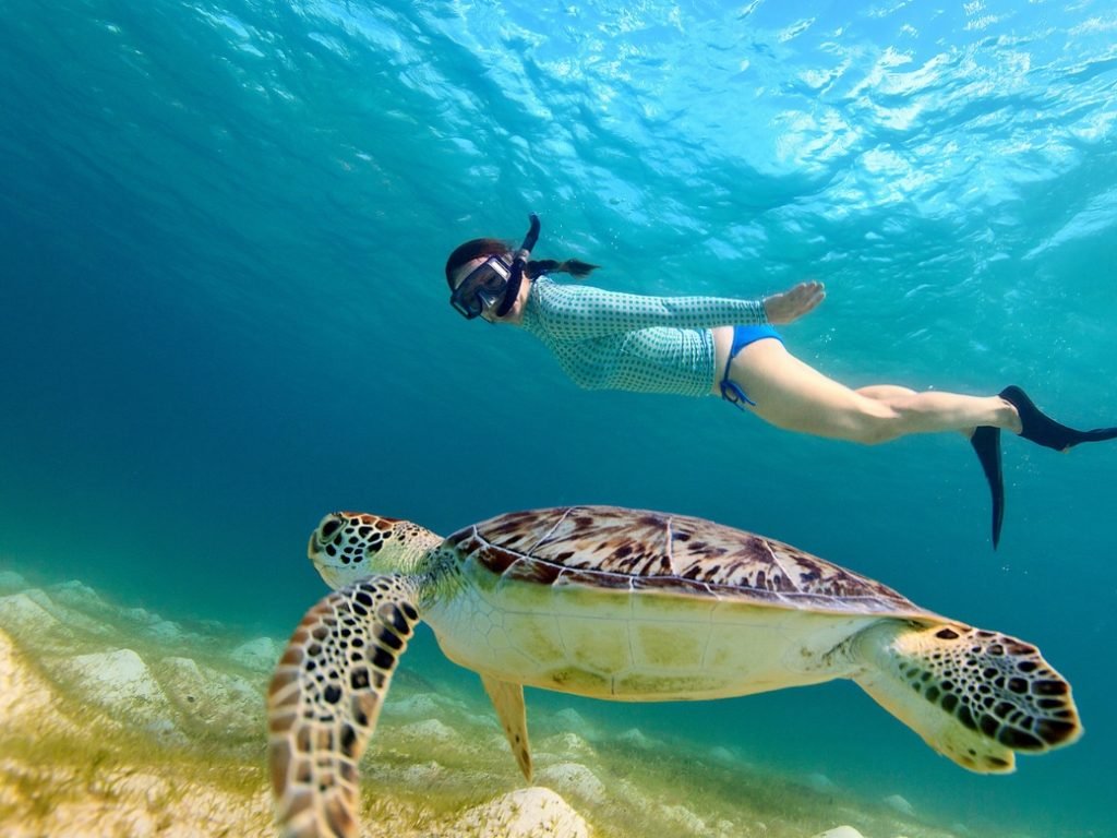 Gili Air turtles