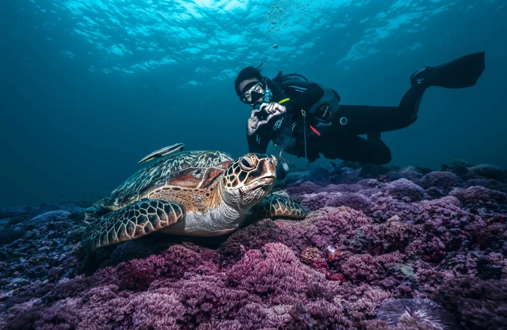 Gili Trawangan manta dive
