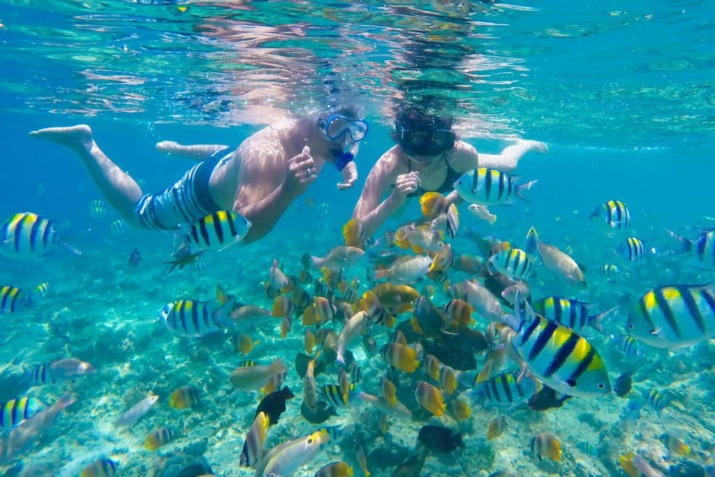 day trip from Lombok to Gili Islands