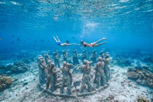 Gili Meno nest