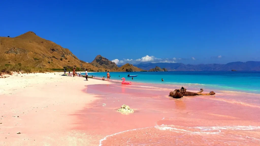 Keunikan Pink Beach Lombok