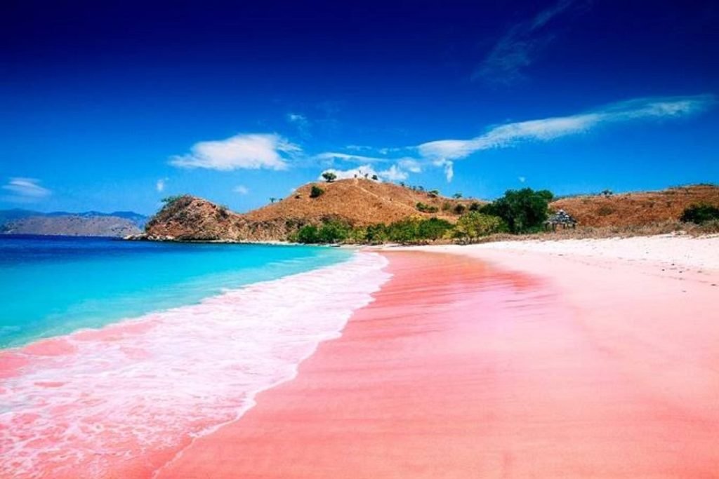 Keunikan Pink Beach Lombok