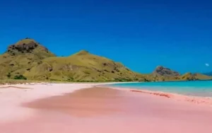 Keunikan Pink Beach Lombok