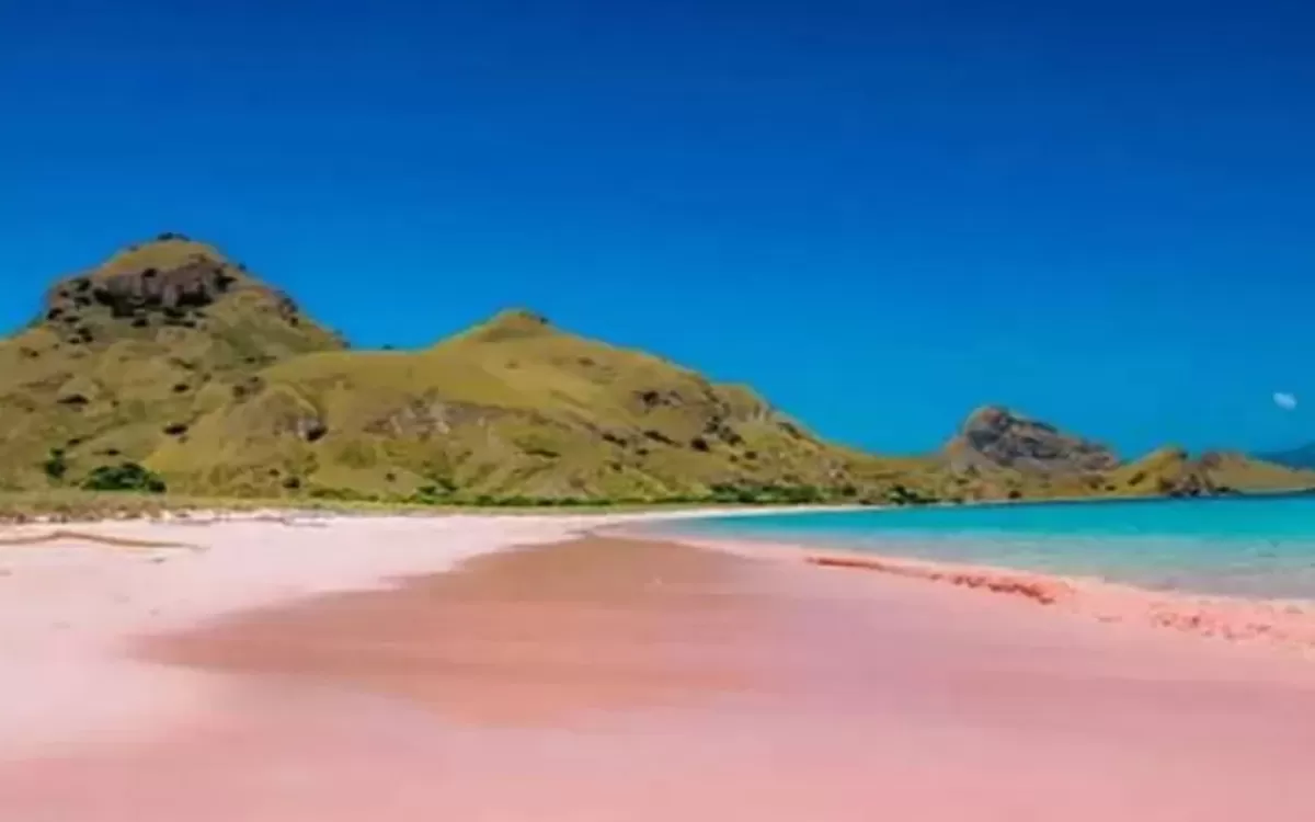 Keunikan Pink Beach Lombok