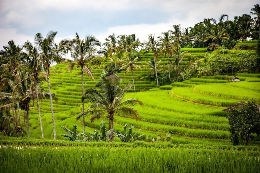 Tetebatu Gowa