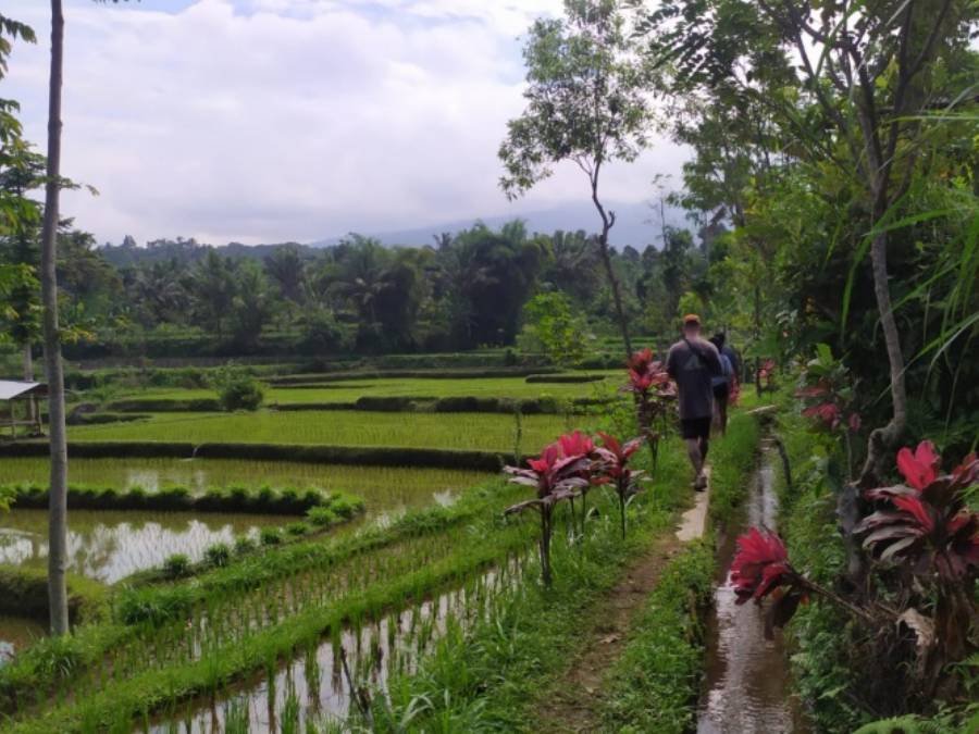 Tetebatu Jungle Trek