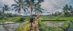 Tetebatu bike tour
